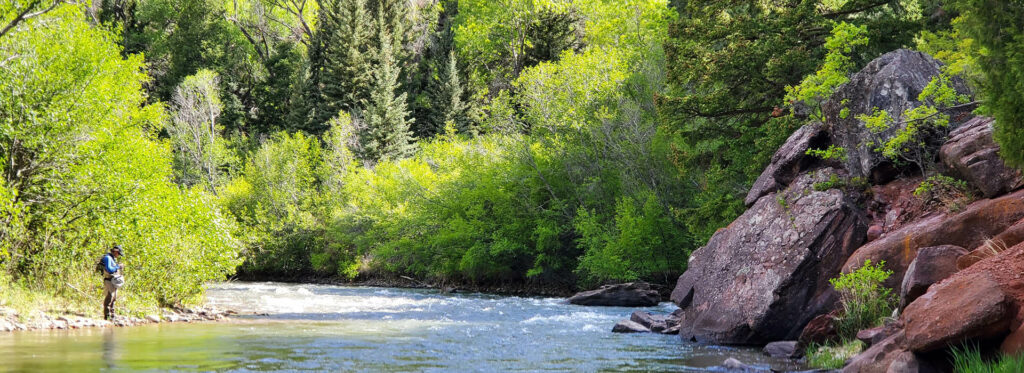 Telluride Colorado's San Miguel River with someone fly fishing in the distance. Beautiful red rock canyon walls with a river running by them.