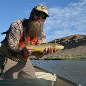 Beautiful Brown and Rainbow trout on drift boat trips on the Lower Gunnison River