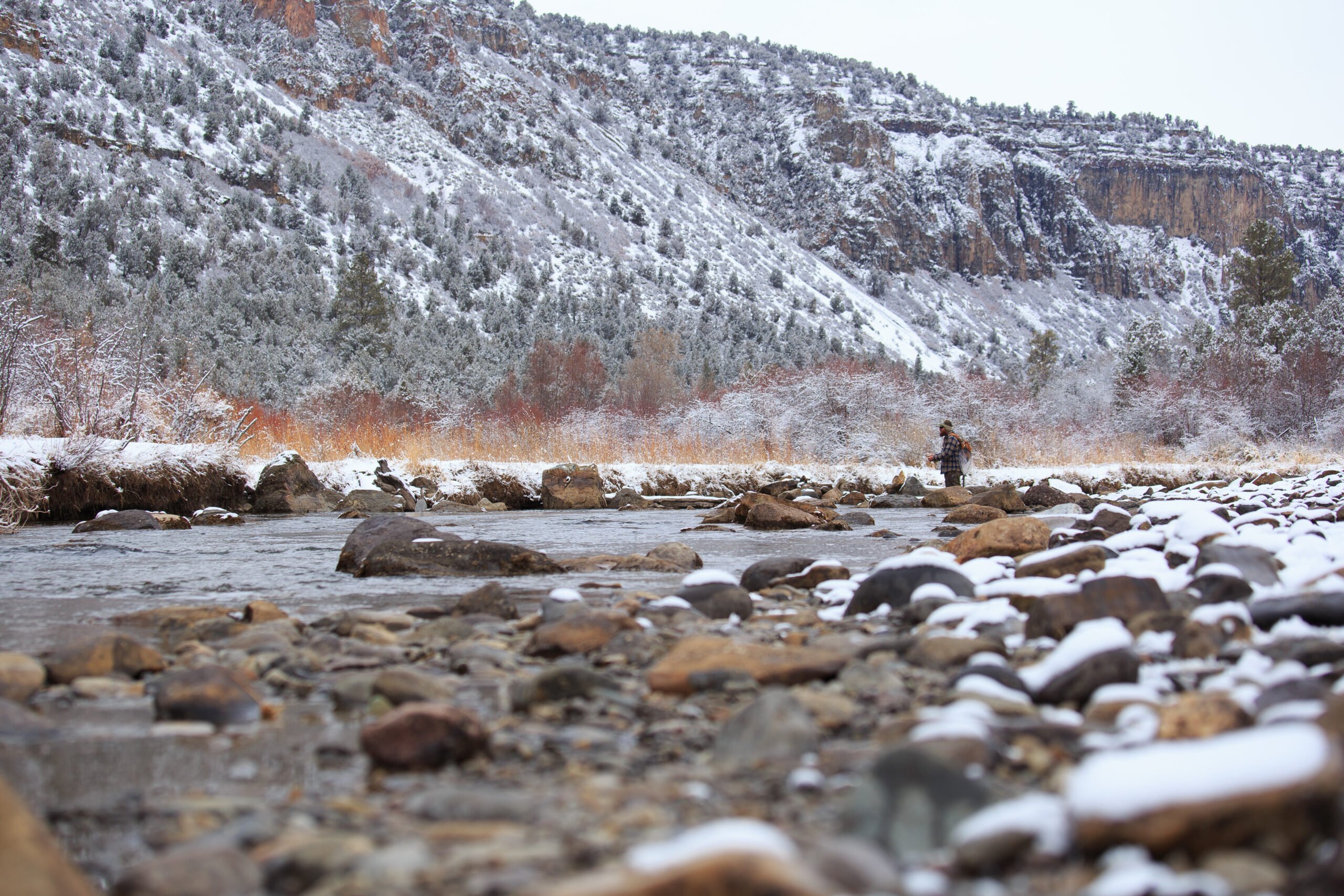 colorado winter fly fishing