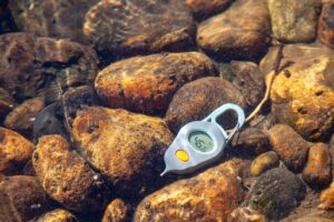 Check water temperatures regularly with a thermometer like the Fishpond River Thermometer or the Cling stick on net Thermometer - two of our favorites!
